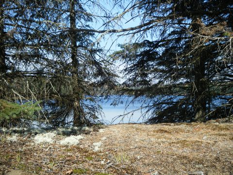 Photo from Three day trip in Algonquin Provincial Park