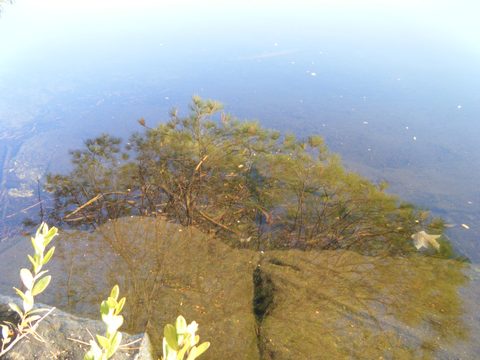 Photo from Three day trip in Algonquin Provincial Park