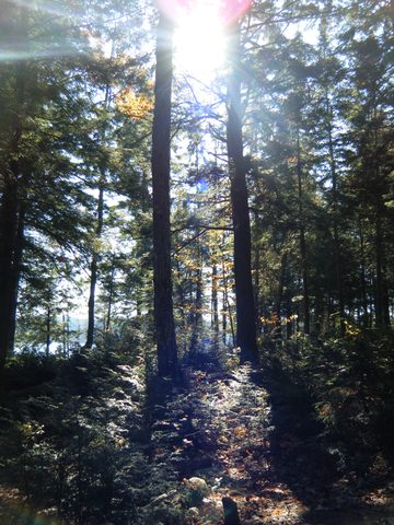 Photo from Three day trip in Algonquin Provincial Park