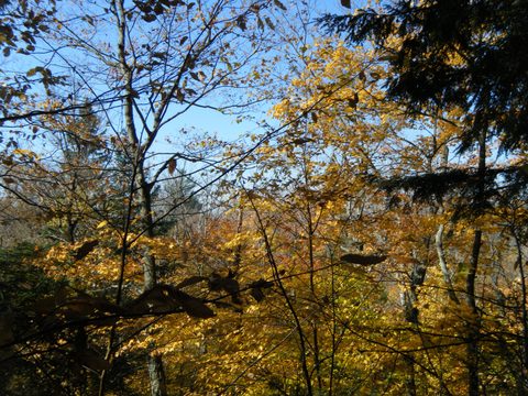 Photo from Three day trip in Algonquin Provincial Park