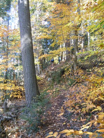 Photo from Three day trip in Algonquin Provincial Park