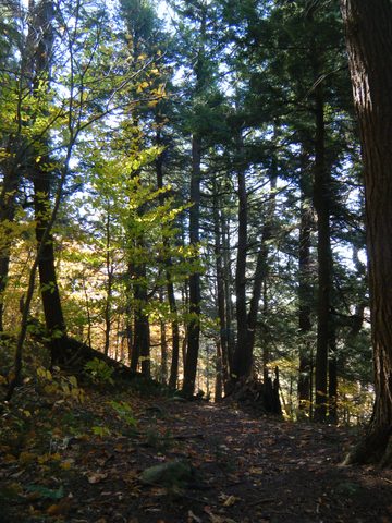 Photo from Three day trip in Algonquin Provincial Park