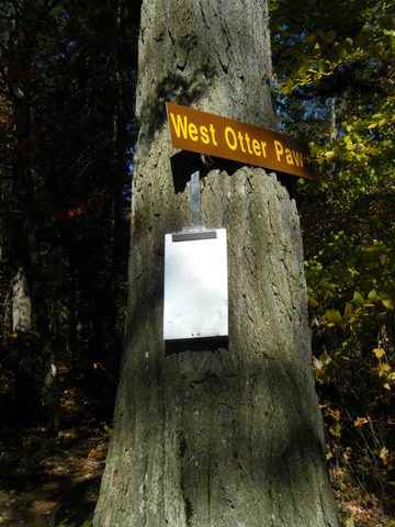 Photo from Three day trip in Algonquin Provincial Park