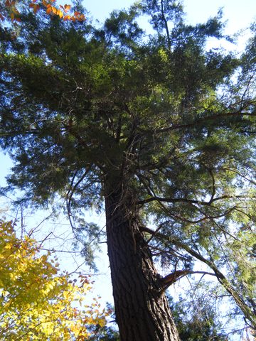 Photo from Three day trip in Algonquin Provincial Park