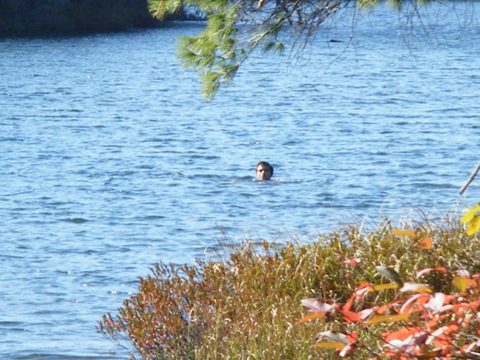 Photo from Three day trip in Algonquin Provincial Park