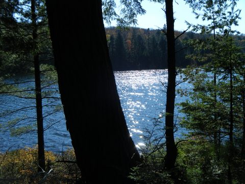 Photo from Three day trip in Algonquin Provincial Park