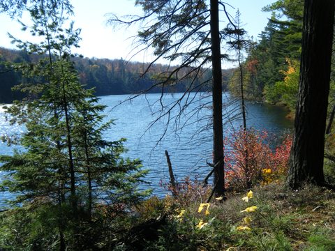 Photo from Three day trip in Algonquin Provincial Park