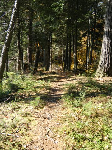 Photo from Three day trip in Algonquin Provincial Park