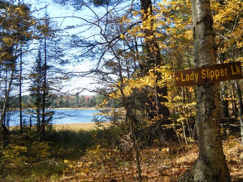 Photo from Three day trip in Algonquin Provincial Park