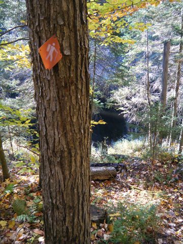 Photo from Three day trip in Algonquin Provincial Park