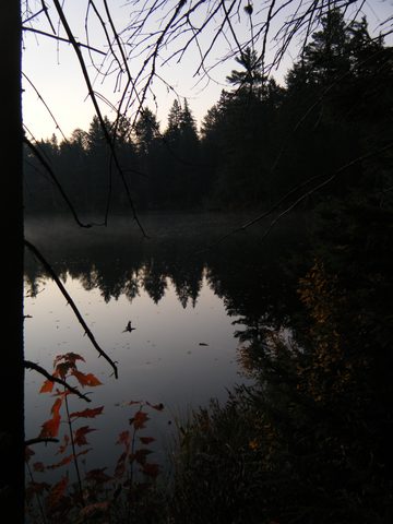 Photo from Three day trip in Algonquin Provincial Park