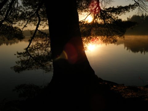 Photo from Three day trip in Algonquin Provincial Park