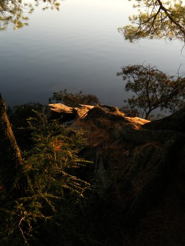 Photo from Three day trip in Algonquin Provincial Park