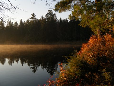 Photo from Three day trip in Algonquin Provincial Park