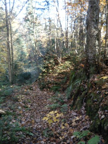 Photo from Three day trip in Algonquin Provincial Park