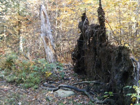 Photo from Three day trip in Algonquin Provincial Park