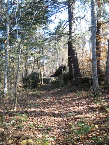 Photo from Three day trip in Algonquin Provincial Park
