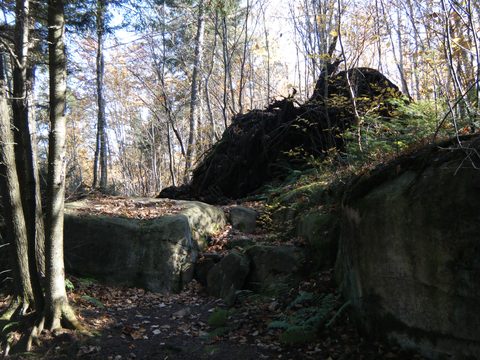 Photo from Three day trip in Algonquin Provincial Park