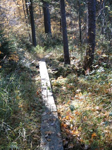 Photo from Three day trip in Algonquin Provincial Park