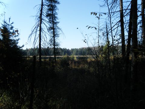 Photo from Three day trip in Algonquin Provincial Park