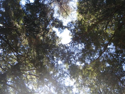 Photo from Three day trip in Algonquin Provincial Park