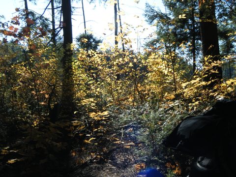 Photo from Three day trip in Algonquin Provincial Park