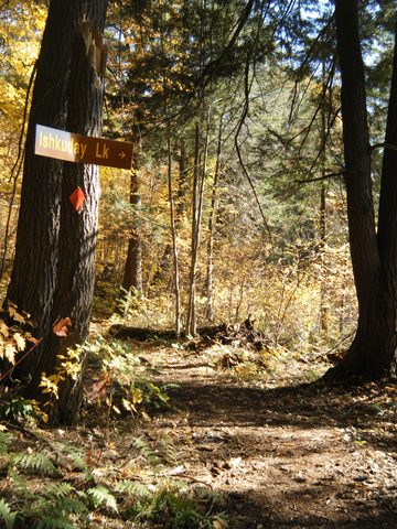 Photo from Three day trip in Algonquin Provincial Park