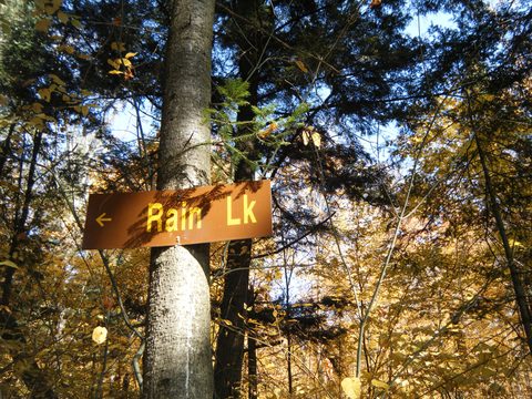 Photo from Three day trip in Algonquin Provincial Park