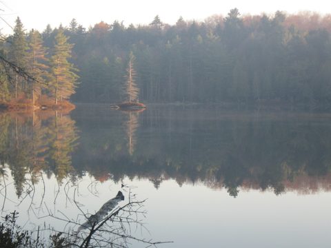 Photo from Three day trip in Algonquin Provincial Park