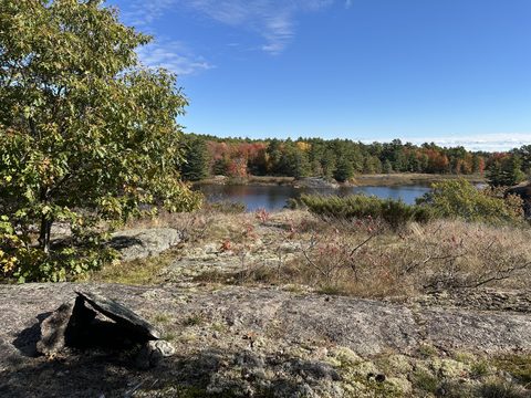 Photo from Thanksgiving on the High Falls Loop