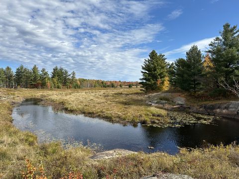 Photo from Thanksgiving on the High Falls Loop