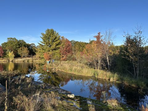 Photo from Thanksgiving on the High Falls Loop