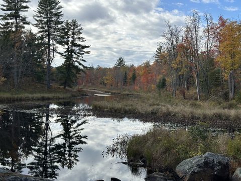Photo from Thanksgiving on the High Falls Loop