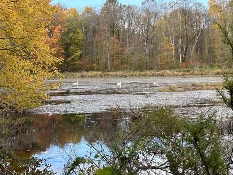 Photo from Thanksgiving on the High Falls Loop