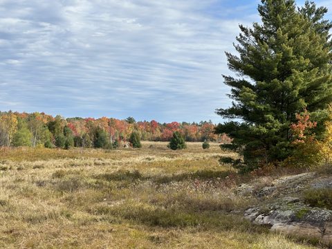 Photo from Thanksgiving on the High Falls Loop
