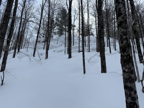 Photo from Beginners Winter Backpacking Course