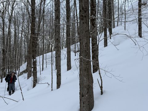 Photo from Beginners Winter Backpacking Course