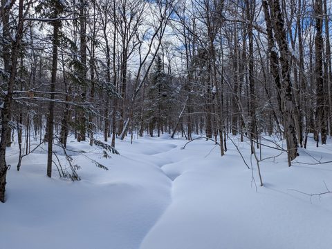 Photo from Beginners Winter Backpacking Course