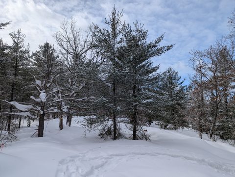 Photo from Beginners Winter Backpacking Course