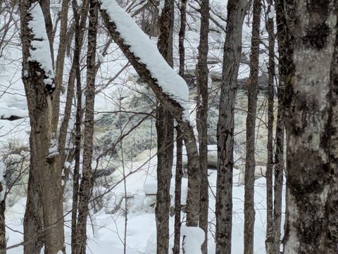 Photo from Beginners Winter Backpacking Course