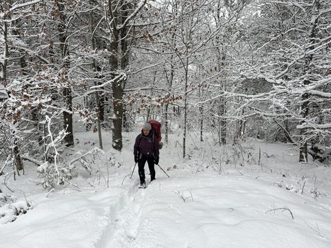Photo from Shoulder season romp