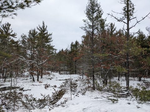 Photo from Shoulder season romp