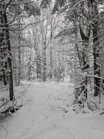 Photo from Shoulder season romp