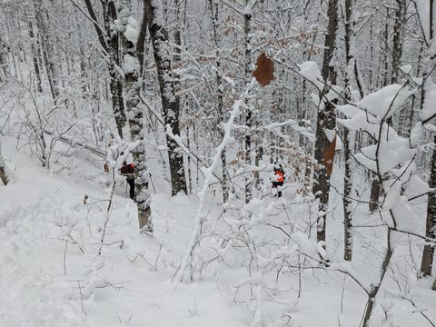 Photo from Shoulder season romp