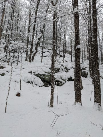 Photo from Shoulder season romp