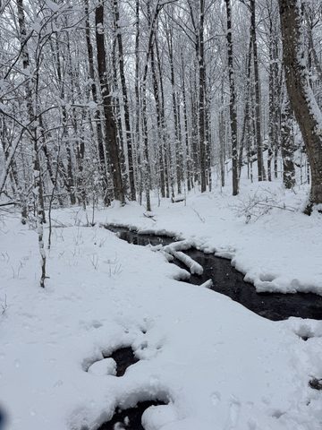 Photo from Shoulder season romp