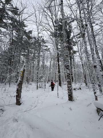 Photo from Shoulder season romp