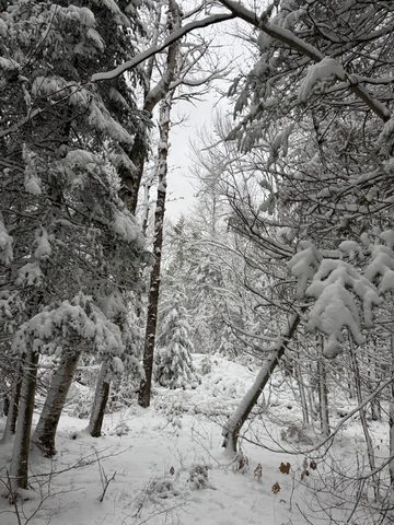 Photo from Shoulder season romp