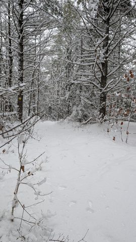 Photo from Shoulder season romp