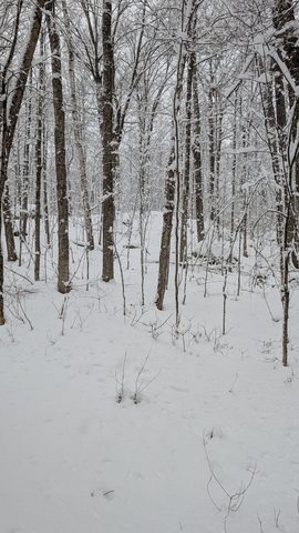 Photo from Shoulder season romp